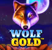 wolf gold slot w kazyne